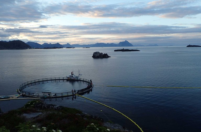 Photo 2 NMMF Minke Whale Project Site at Night.JPG